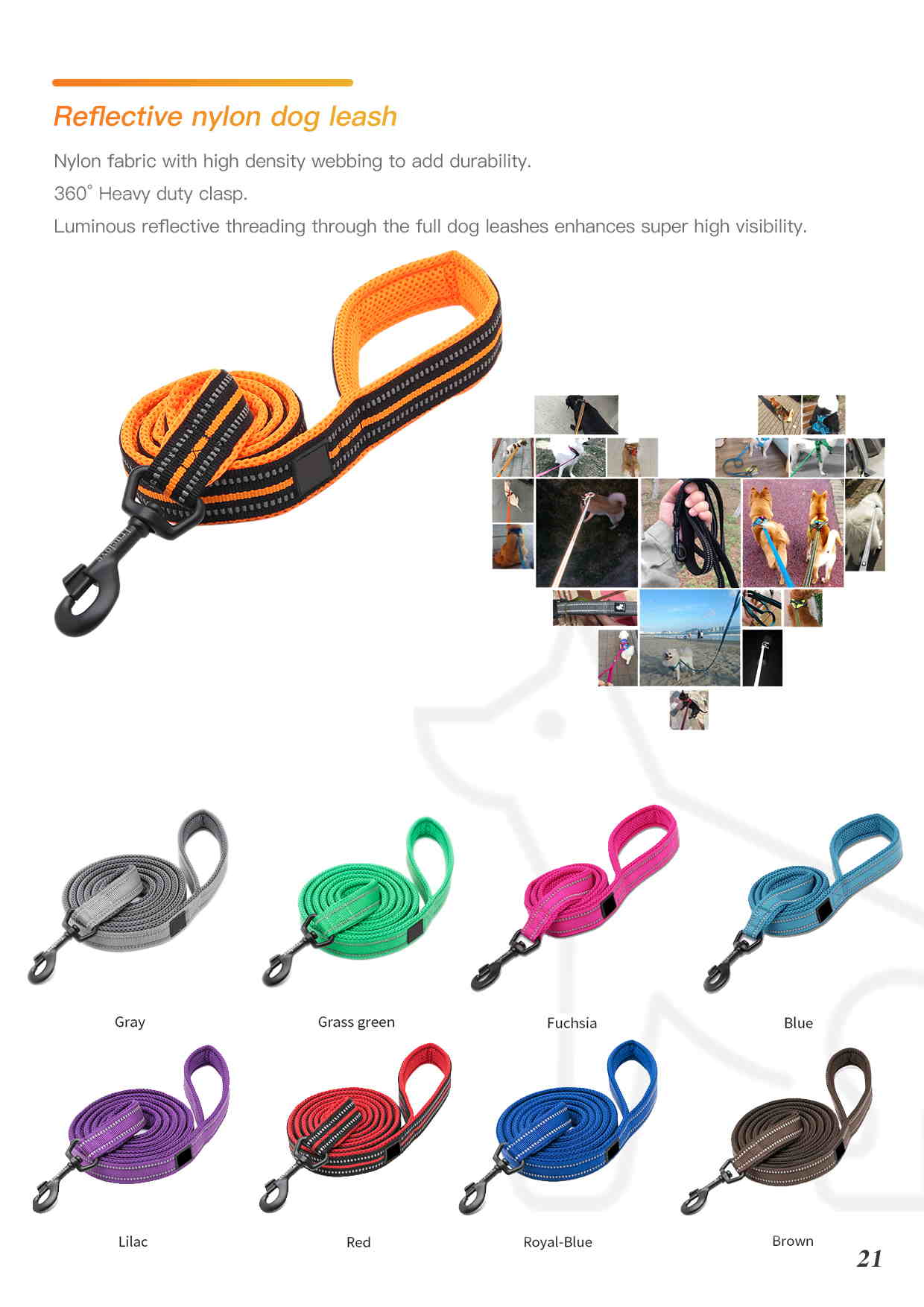 pet harness leash